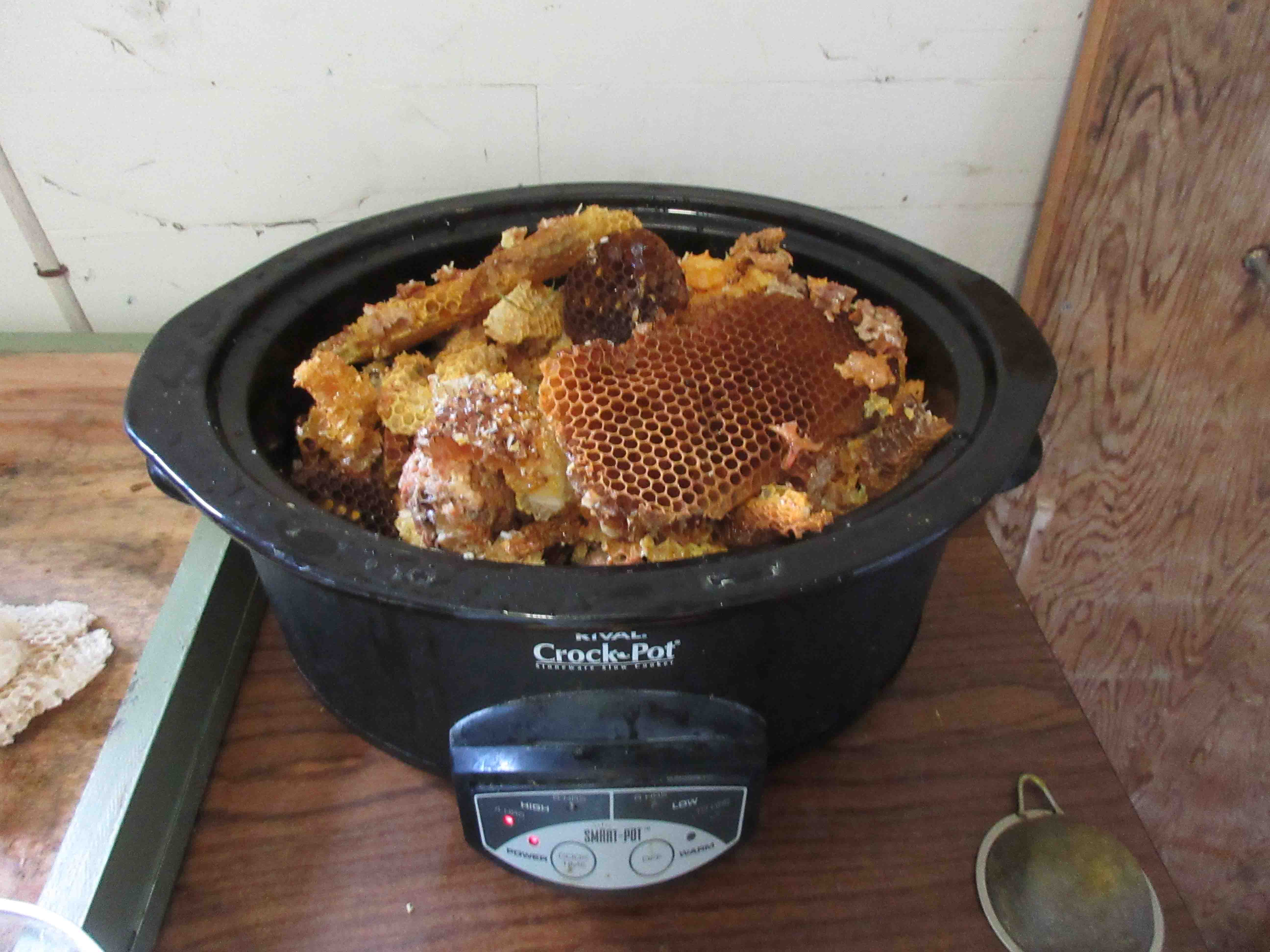 How to Clean Raw Beeswax Bee Mentor Beekeeping Native Bees